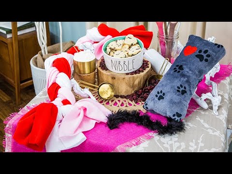 Video: DIY Craft: Valentine Doggy 5 phút