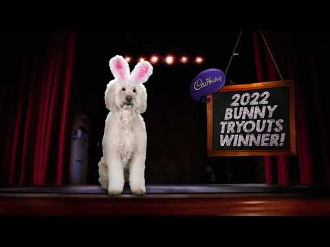 CADBURY Clucking Bunny | 2022 Winner