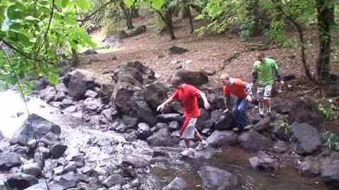 Statistics 243 video