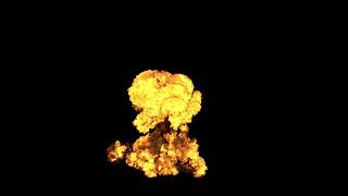 Medium Mushroom Fire Explosion Overlay | VFX Stock Explosion Footage  Free Download 4K Download Link