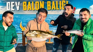 Eki̇ple Dev Balon Baliği Yakaladik 