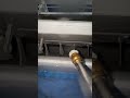 😱Вы даже не подозреваете, насколько грязным может быть ваш кондиционер…На видео 🔹 До чистки — пыль