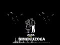 ALLY JAY TZ NIMEKUZOEA 