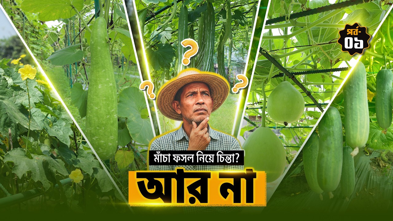 এই একটি জিনিস জানলেই আপনার ফলন হবে দ্বিগুণ