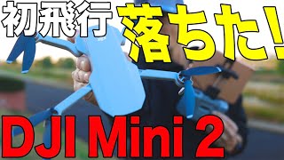 【DJI Mini 2】初飛行で落ちた！ え、ちょっと待って〜　DJIケアも入るべし　カメラ設定もやります　【4K映像】