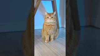 Happy Birthday, You and Me