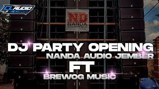 DJ PARTY REBORN NANDA AUDIO JEMBER FT BREWOG MUSIC || PARTY HOREG GANG