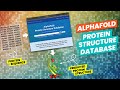 AlphaFold 2 Learns the Entire Human Proteome (AlphaFold Protein Structure Database)