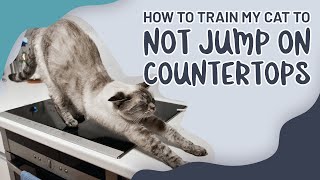 How To Train My Cat To Not Jump On Countertops