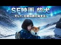 【SF映画】柴犬 家族との再会