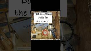 Dressed Fleas (a.k.a. Pulgas Vestidas)      #dressedfleas  #fleas