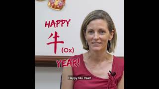 A Taste of an Oxspicious Lunar New Year