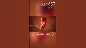 {وَلَقَدْ خَلَقْنَا الْإِنسَانَ مِن سُلَالَةٍ مِّن طِينٍ}سورة المؤمنون/الشيخ ياسر الدوسري 💖🫠🌹🎧
