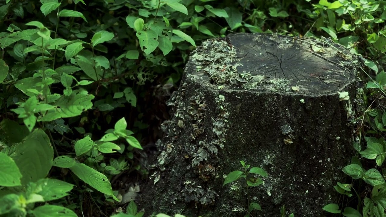 Watch Kazuma Okabayashi - Skyward Currents on YouTube Watch Kazuma Okabayashi - Skyward Currents on YouTube