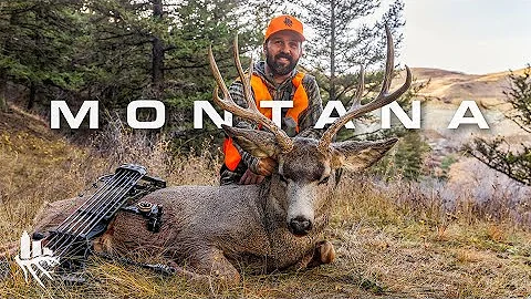 CLIFF Bow Shot on Public Land Mule Deer