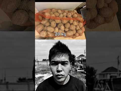 20 kg…