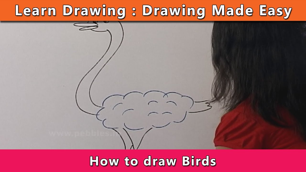 How to draw Birds | Learn Drawing For Kids | Learn Drawing ...