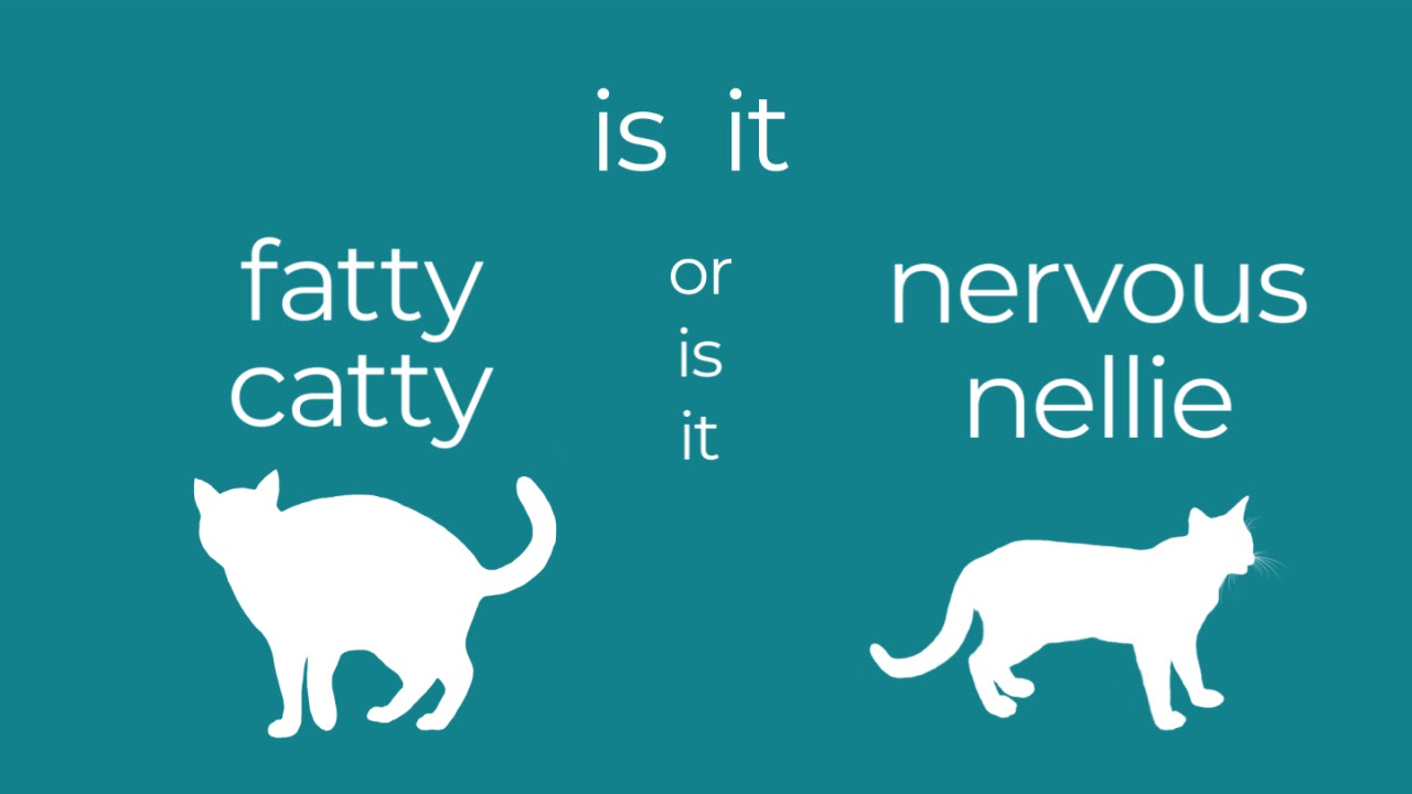 Justin's Cat - MBMBaM Kinetic Typography