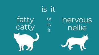 Justin's Cat - MBMBaM Kinetic Typography