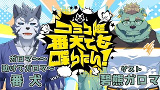 【コラボ雑談】コミュ障番犬でも喋りたい！ゲスト：碧熊ガロマ【Vtuber/雹衛ハガル】