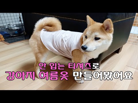 강아지옷 만들기! 안 입는 티셔츠로 여름 나시티 만들어 봤어요~