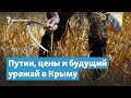 Путин, цены и будущий урожай в Крыму | Крымский вечер