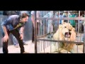 رامز قلب الأسد احمد عز Ramez Qalb Alasad Ahmed Ezz رامز قلب الأسد احمد عز Ramez Qalb Alasad Ahmed Ezz