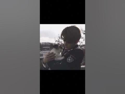 [ кошки лечат даже раны на душе ] #скз #минхо - YouTube