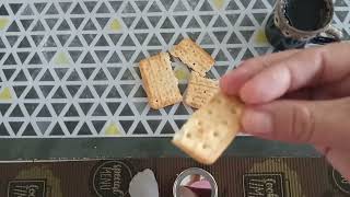 29 De Janeiro De 2026