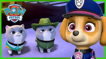 Los cachorros de Rescate máximo salvan a los gatitos reales - PAW Patrol Episodio Español Pup Tales