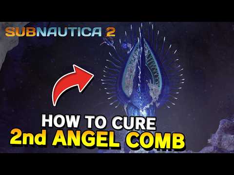 How to Cure second Angel Comb in Subnautica 2