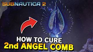 How to Cure second Angel Comb in Subnautica 2