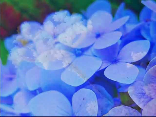 Медитация на голубой цвет - цвет спокойствия и умиротворения.