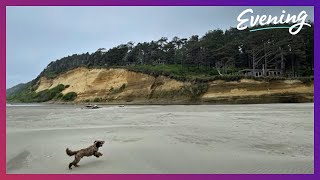 Life's a beach at the best dog-friendly getaway - 2023's BNWE