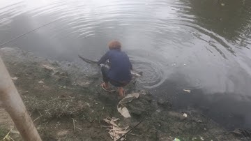 Cá trê khủng sông bạch đằng bình dương ( Cu Bin )