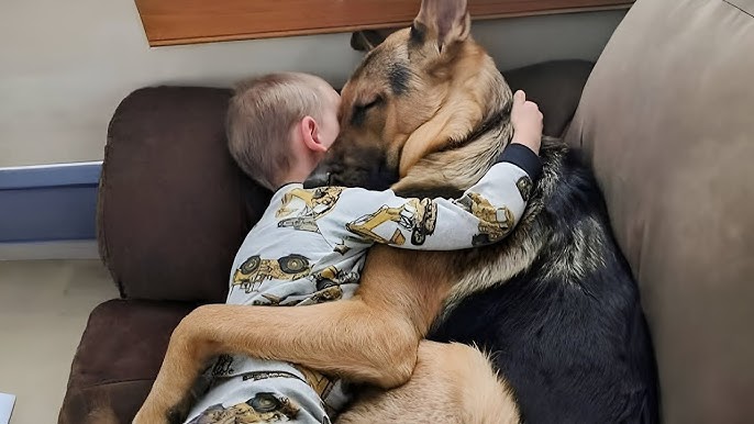 Toddler & His Dog Died Hugging Each Other When They Separated Them  Something Shocking Happened - YouTube