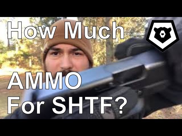 How much ammo for SHTF? Prepper Minuteman Militia Discussion 