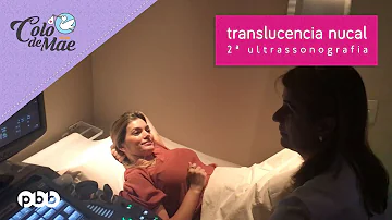 O que pode causar translucência nucal?