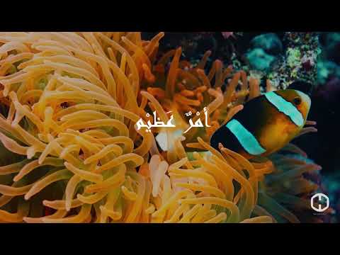 الله يا عظيم