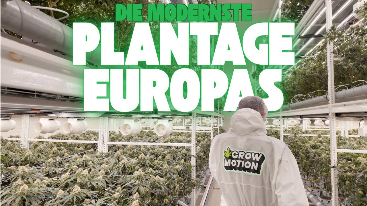 1000kg 🥦 pro Raum im Jahr 🤯 das ist Grow Motion!