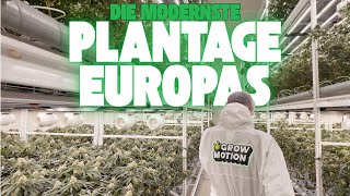 1000kg 🥦 pro Raum im Jahr 🤯 das ist Grow Motion!