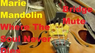 Marie Mandolin ~ Where The Soul Never Dies