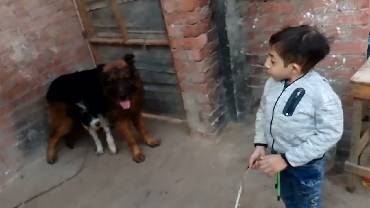 هتسمعو الكلام ولا 🤫