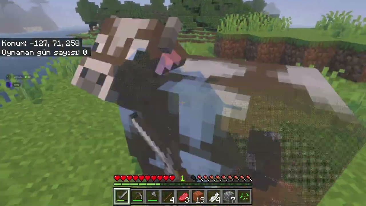 Minecraft survival (bölüm 1)
