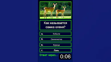 Как называется самка оленя?