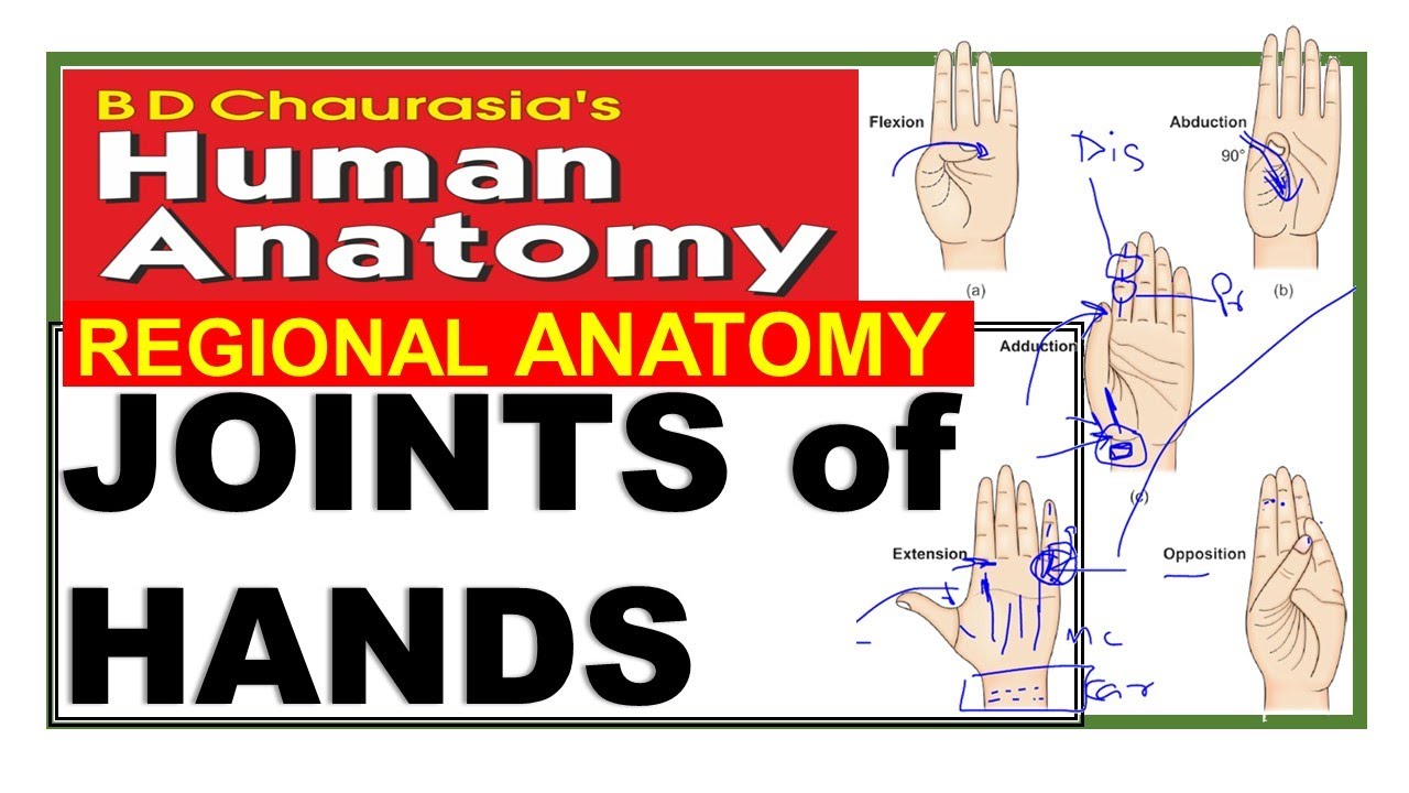 Chp10 | Joints of Hands | Upper Limb Joints| BD Chaurasia Regional Anatomy | Dr Asif Lectures