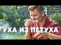 УХА ИЗ ПЕТУХА | ПроСто кухня | YouTube-версия