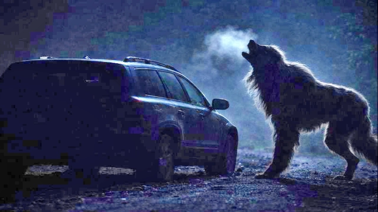 O LOBISOMEM REAL DE 1994