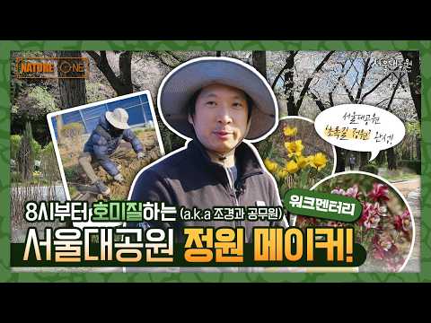 The Reason We Planted Flowers Instead of Exercise Equipment: The Story Behind the Creation of the...