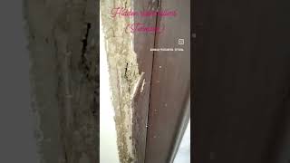 TERMITE TREATMENT